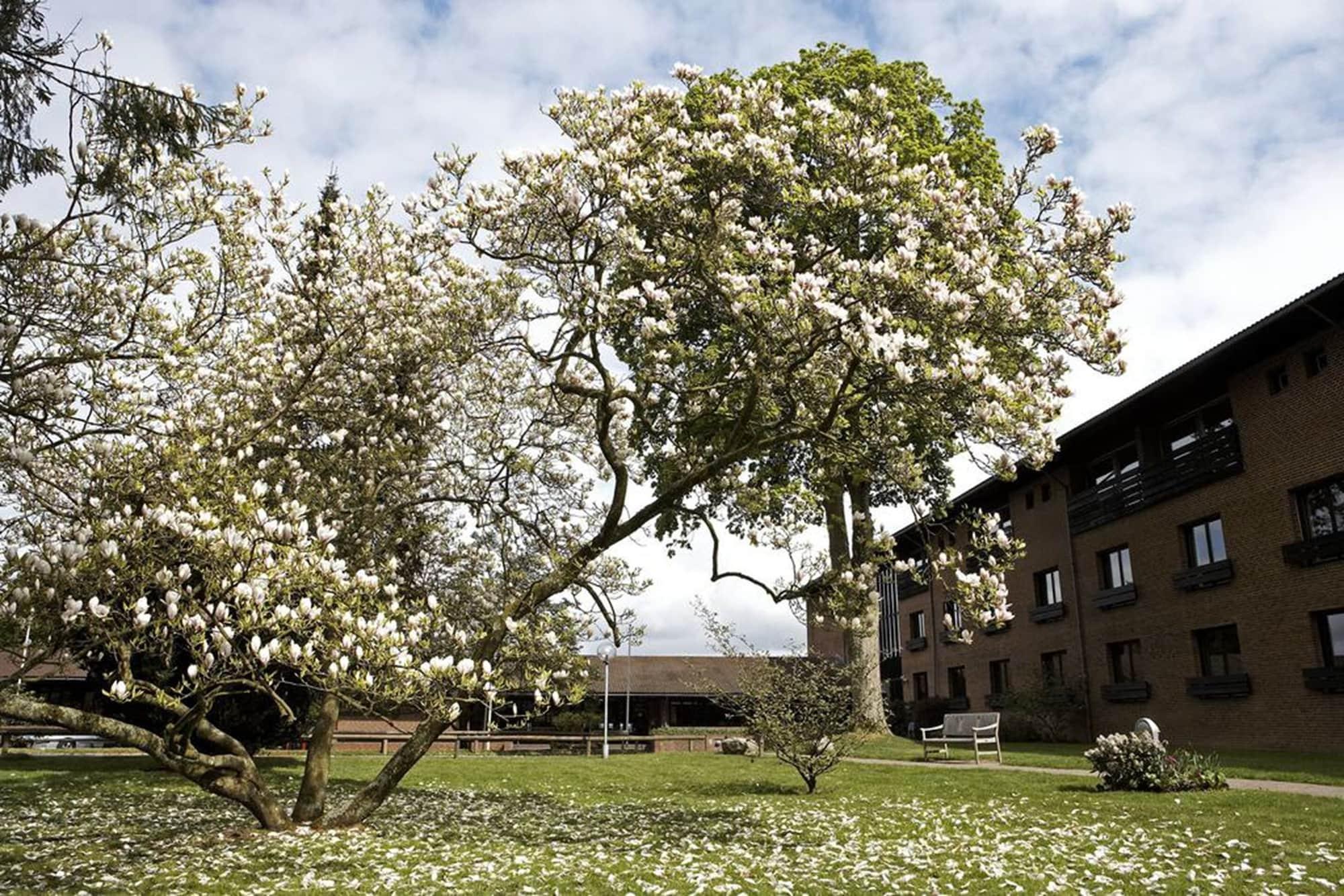 Munkebjerg Hotell Vejle